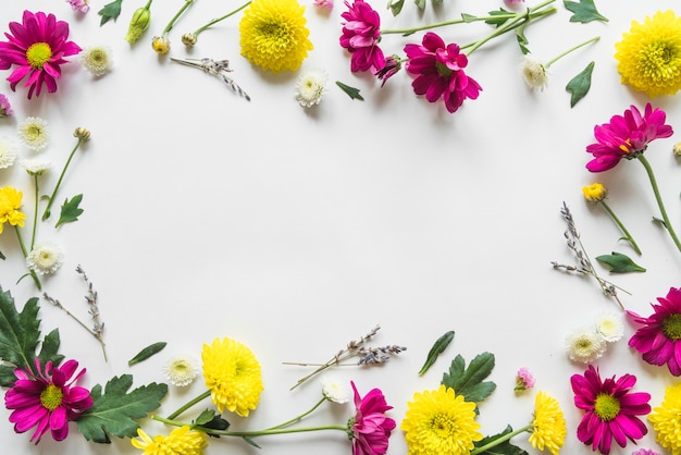 Top view of flowers and leaves