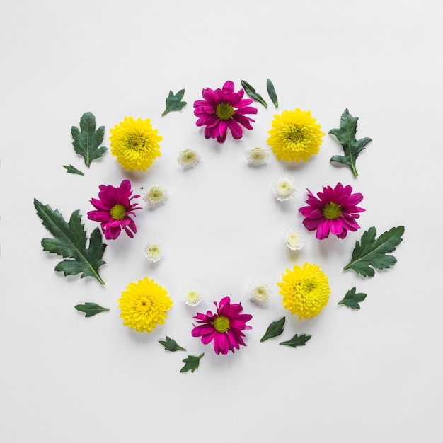 Top view of flowers and leaves