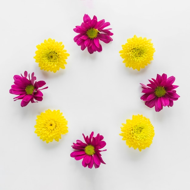 Top view of flowers and leaves