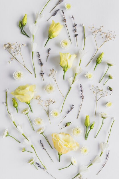 Top view of flowers and leaves