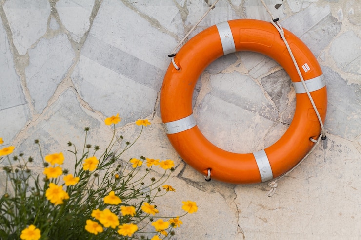 Free Photo top view flowers and life buoy
