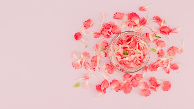 Top view flowers and petals