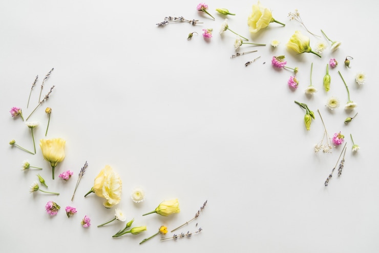 Free Photo top view of flowers and petals