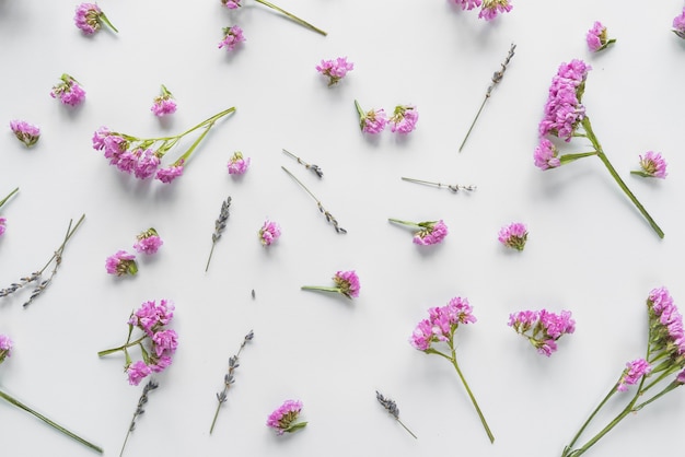 Top view of flowers and petals