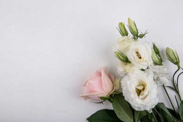 Top view of flowers on white background with copy space