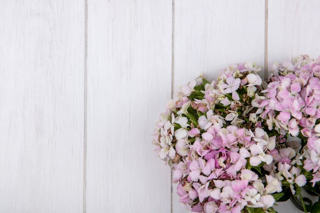 Top view of flowers on a white surface