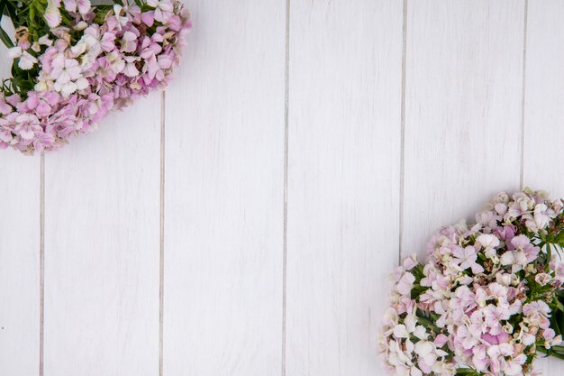 Top view of flowers on a white surface