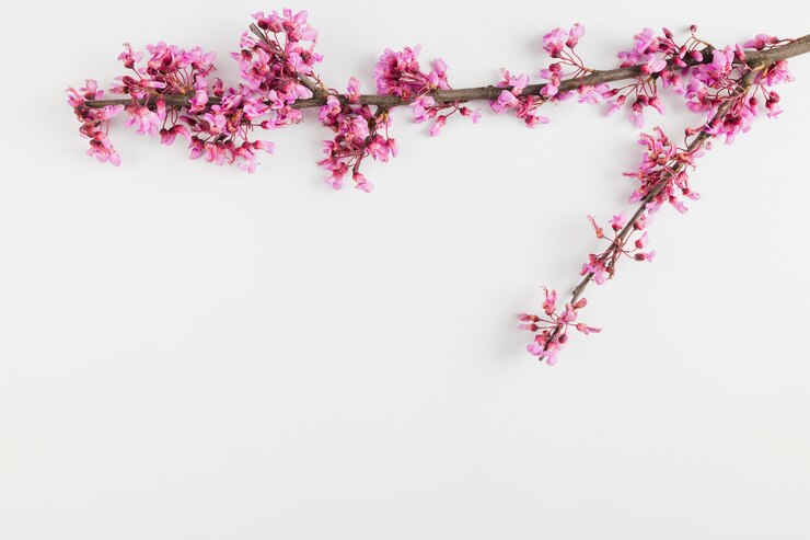 Free Photo top view flowers with copy space