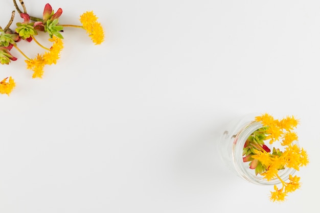 コピースペースを備えたトップビューの花