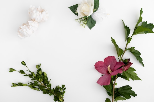 Fiori di vista superiore con sfondo bianco