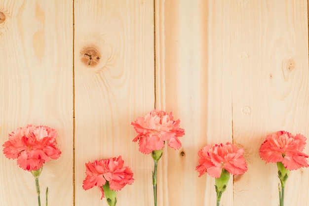 Free photo top view flowers on wooden background with copy space