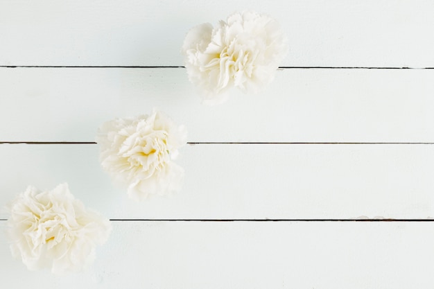 Free photo top view flowers on wooden background