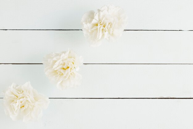 Top view flowers on wooden background