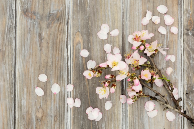 木製の背景にトップビューの花