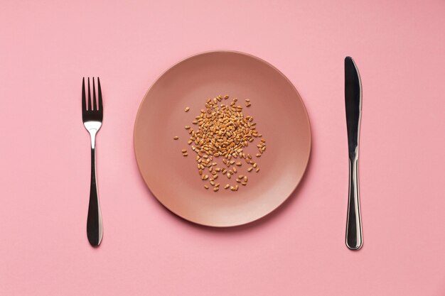 접시와 상위 뷰 식량 위기 개념