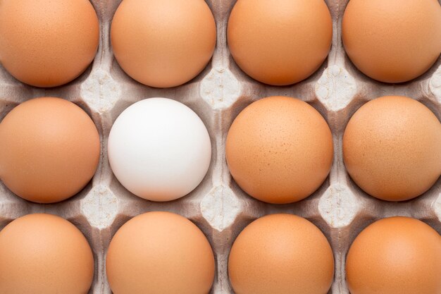 Top view formwork with eggs