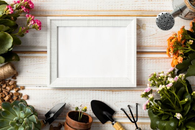 Top view frame of flowers