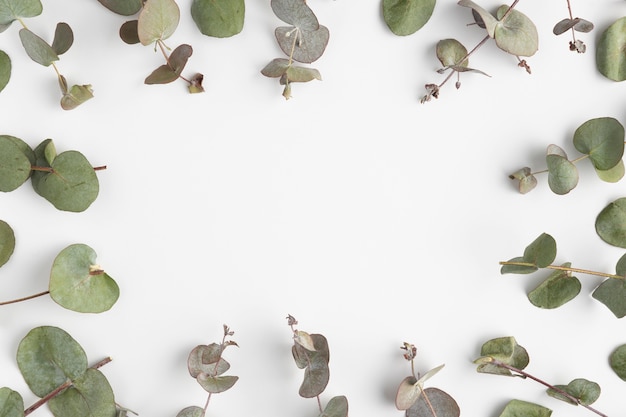 Top view frame of leaves