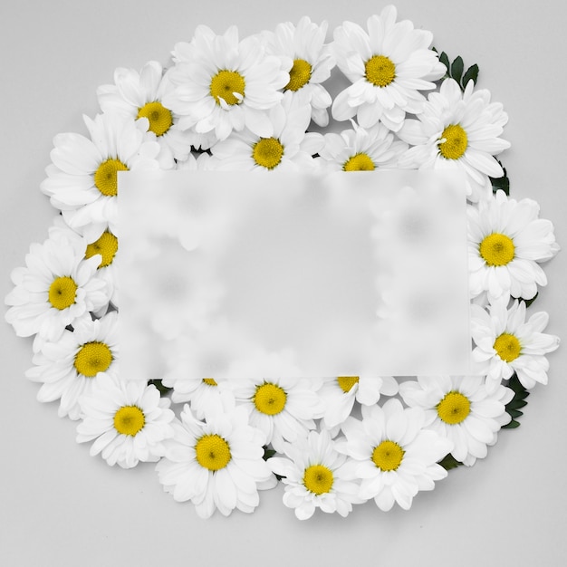 Top view frame made out of daisies