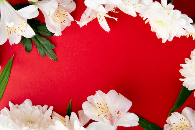 コピースペースと赤の背景に菊の花と白い色のアルストロメリアの花で作られたフレームのトップビュー