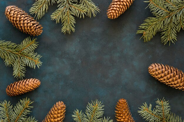 Top view frame of pine cones and needles