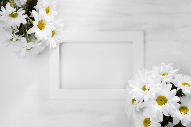 Top view frame surrounded by daisies