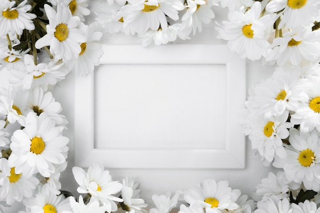 Free photo top view frame surrounded by daisies