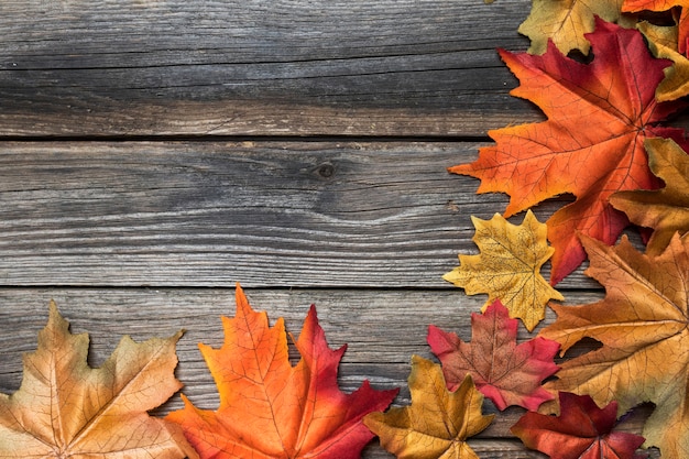 Top view frame with colourful leaves and copy-space