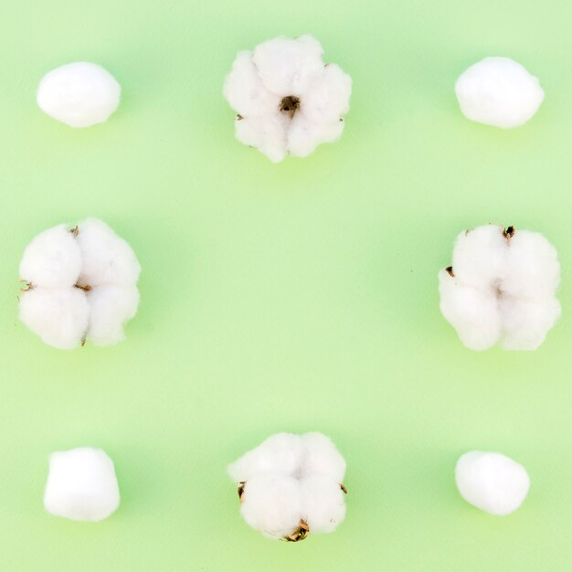 綿の花と緑の背景のトップビューフレーム