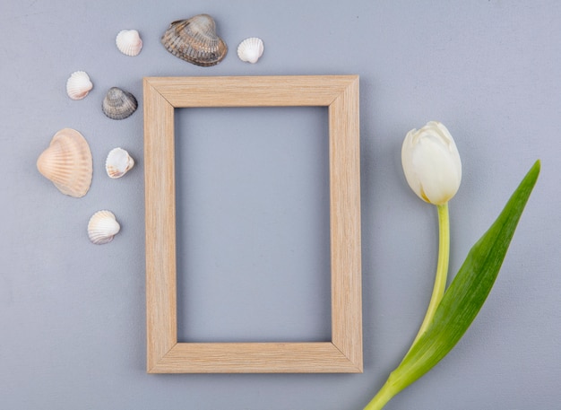 Top view of frame with flower and seashells around on gray background with copy space