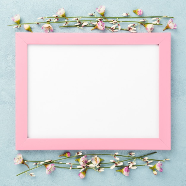 Top view frame with flowers branches