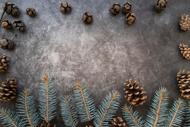 Top view frame with pine cones and copy-space