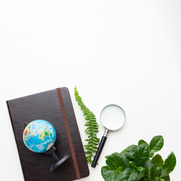 Free photo top view frame with plants and notebook