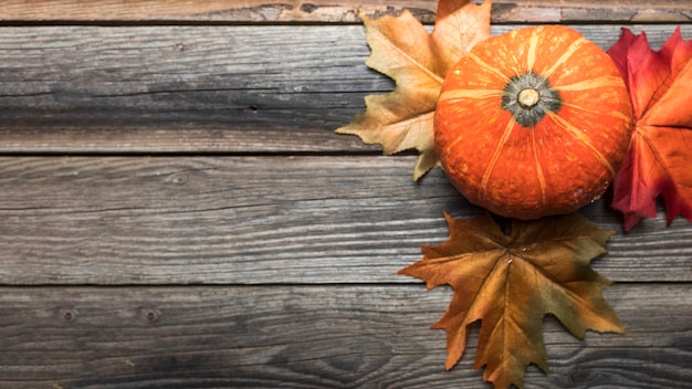 Top view frame with pumpkin and colourful leaves