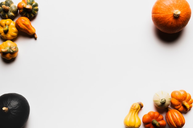 Free photo top view frame with pumpkins on white background