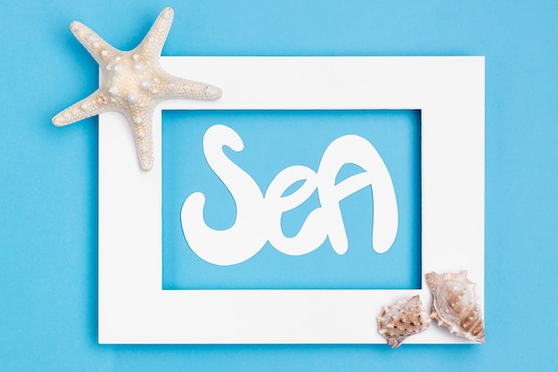 Top view of frame with sea shells and starfish