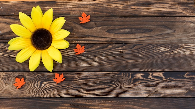 Cornice vista dall'alto con girasole su fondo in legno