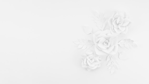 47,000+ White Flower Background Pictures