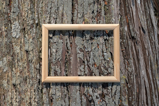 Top view frame on wooden background