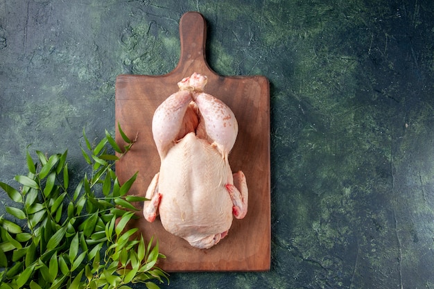 Top view fresh chicken with green leaves on a dark-blue surface