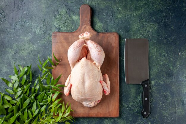 Top view fresh chicken with green leaves on dark-blue surface