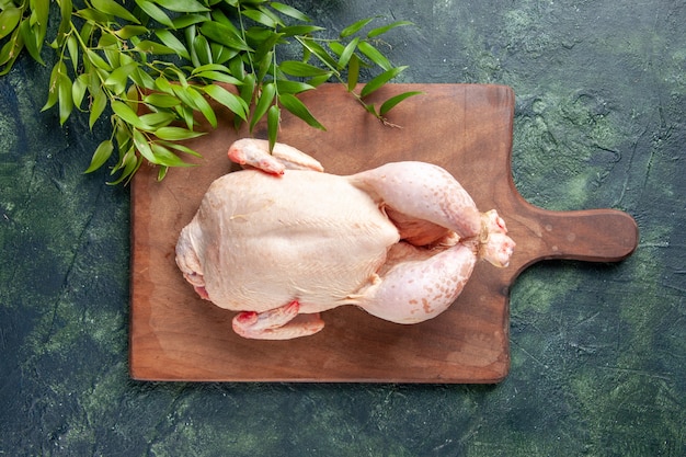 Pollo fresco vista dall'alto con foglie verdi su superficie blu scuro