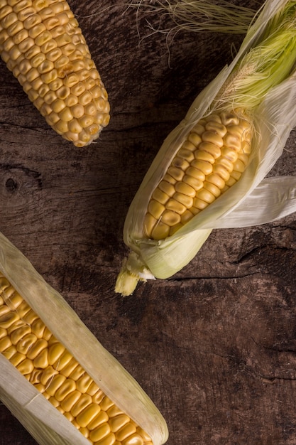 Top view fresh corn arrangement