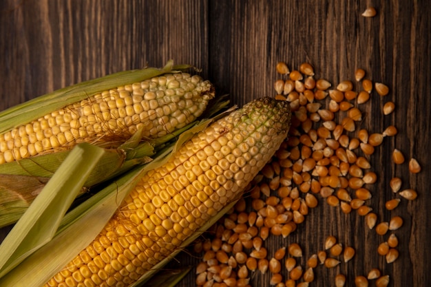 Free photo top view of fresh corns with hair with kernels isolated on a wooden table