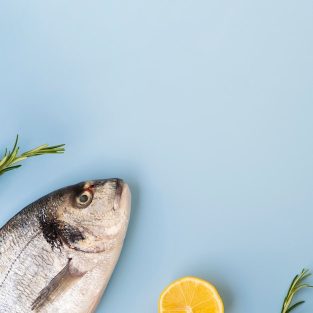 Top view fresh fish with herbs and copy-space