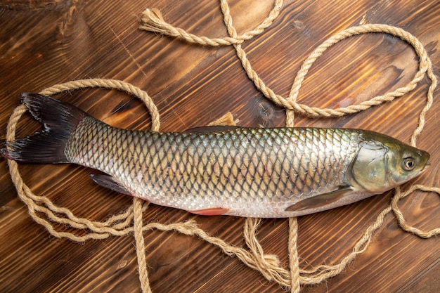 木製の机の上にロープで新鮮な魚の上面図