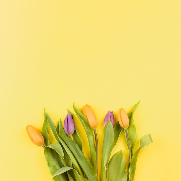 Top view of fresh flowers