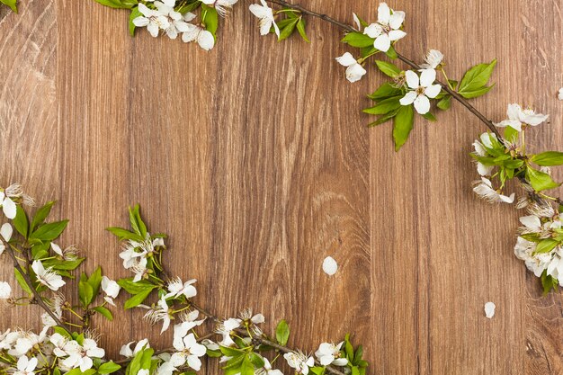 Top view of fresh flowers