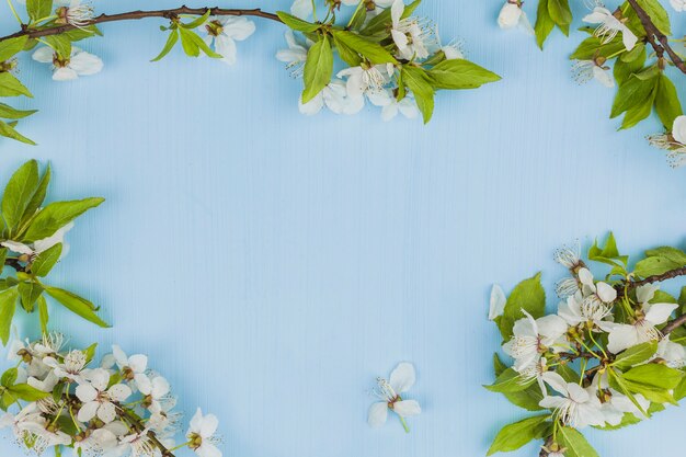 Top view of fresh flowers