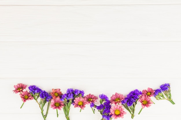 Top view of fresh flowers